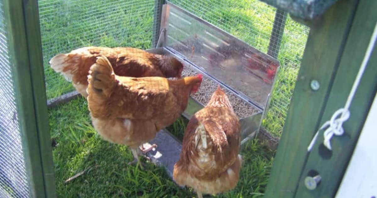 Somerzby Feeder Working