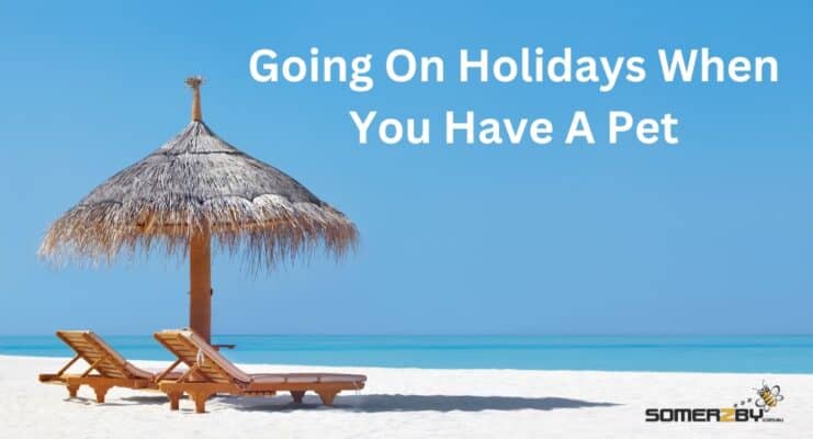 Going On Holidays When You Have A Pet