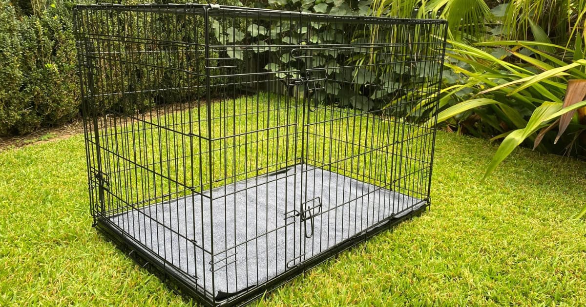 dog crate training
