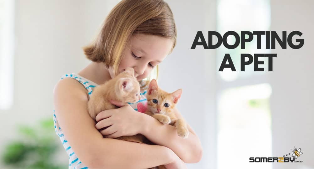 Adopting a Pet
