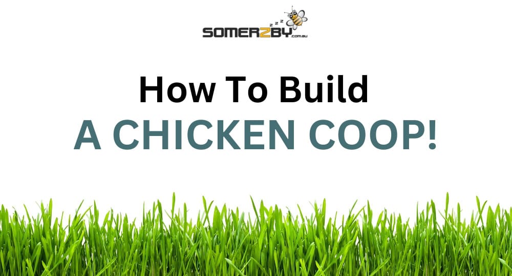 How To Build A Chicken Coop