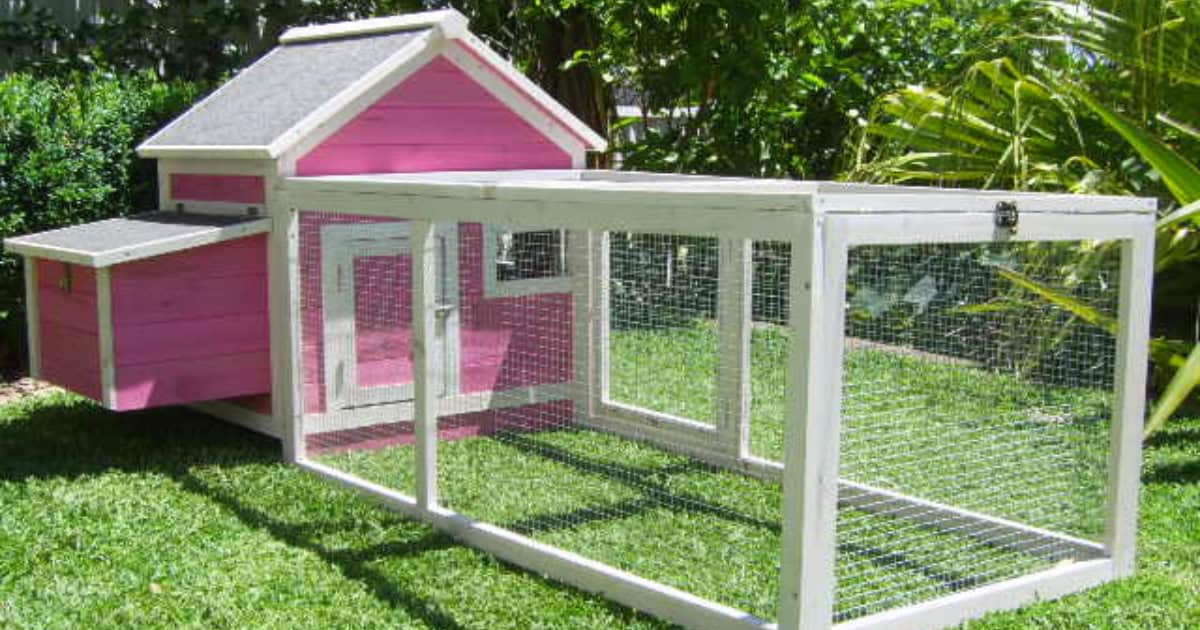 Pink Coop and run