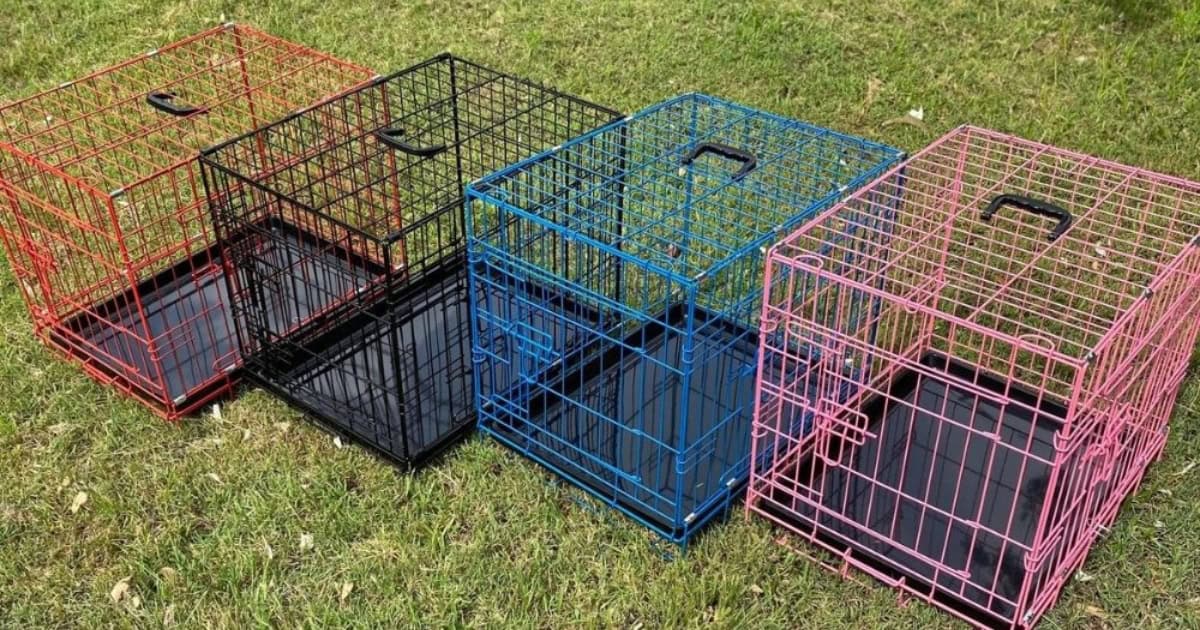 Coloured Dog Crates