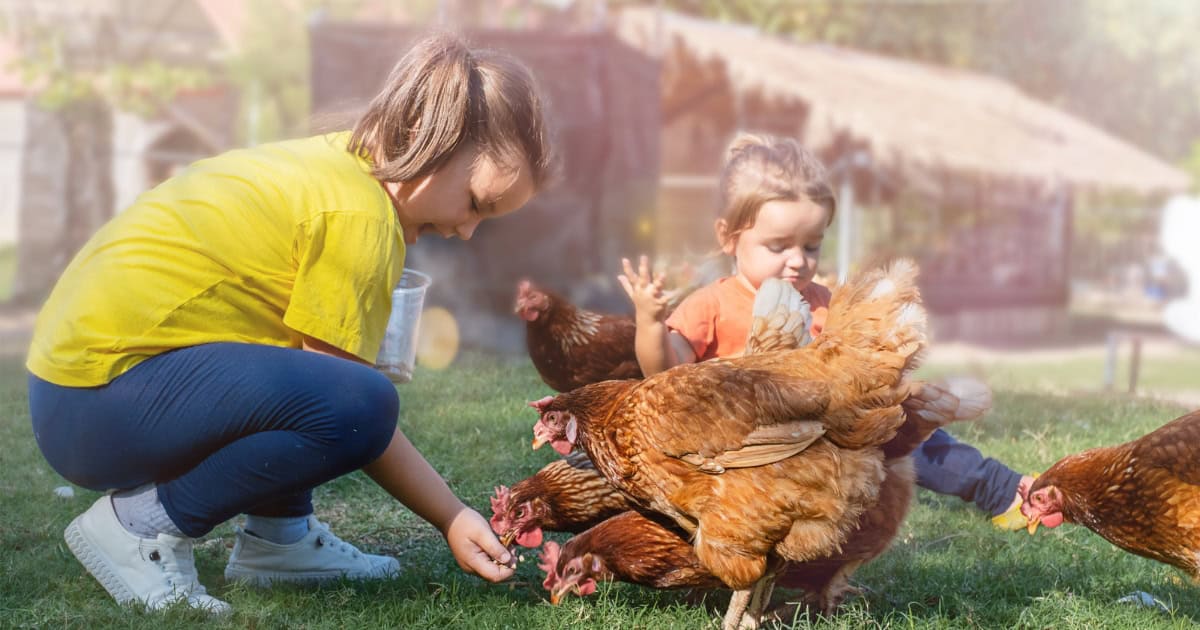 Companionship And Happiness