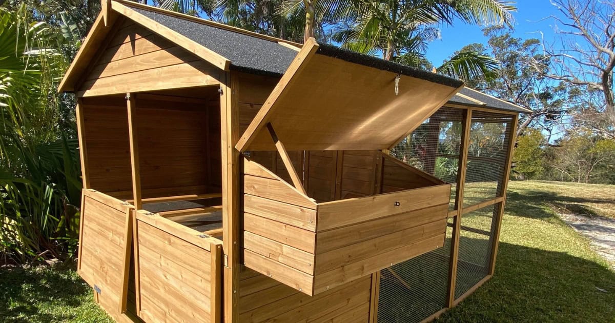 Easy to Clean - Chicken Coop 