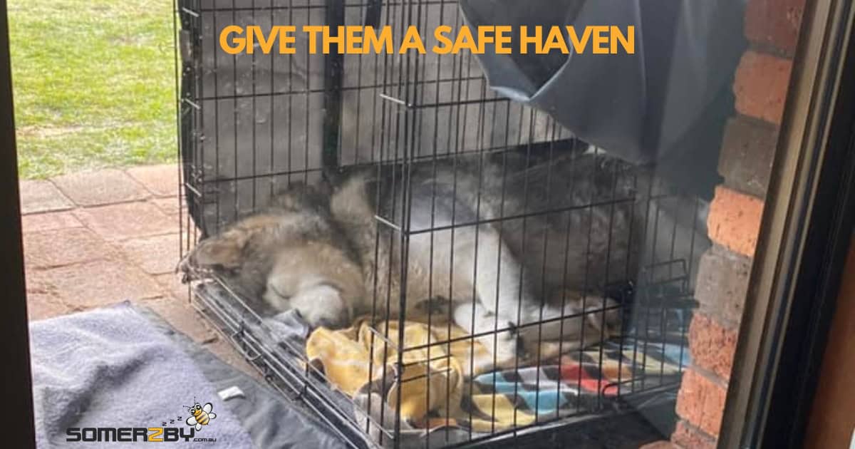 Indoor Outdoor pet Crates