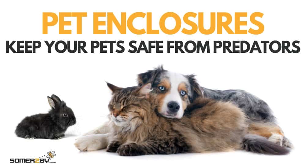 Pet Enclosures - Safe from predators