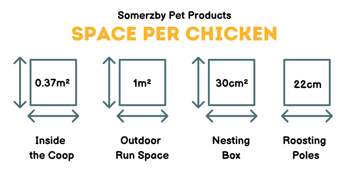 Space per Chicken
