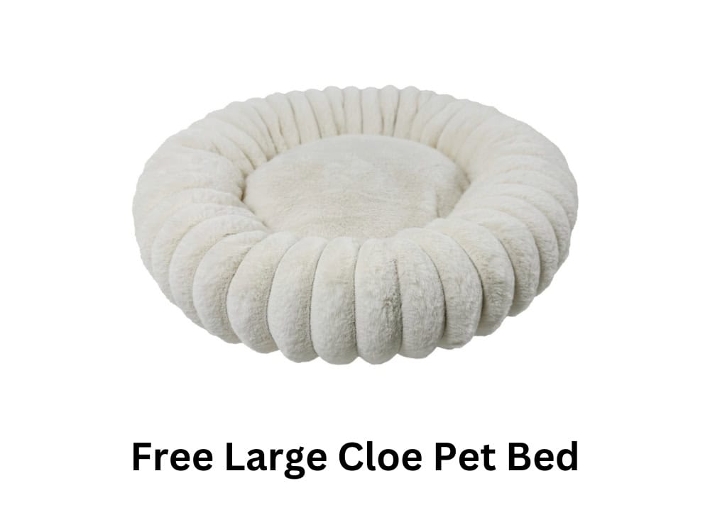 Free Large Cloe Pet Bed