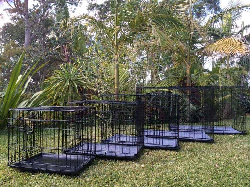 Crates protect your pets from flies, mosquitoes, sun, wind, and rain