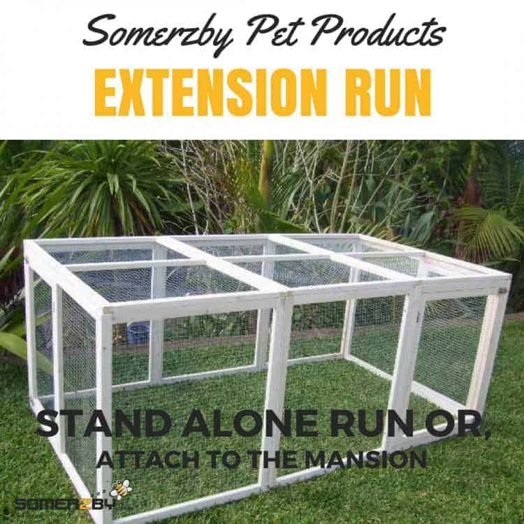 The extension run The extension run