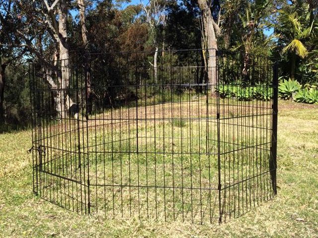 large arena playpen