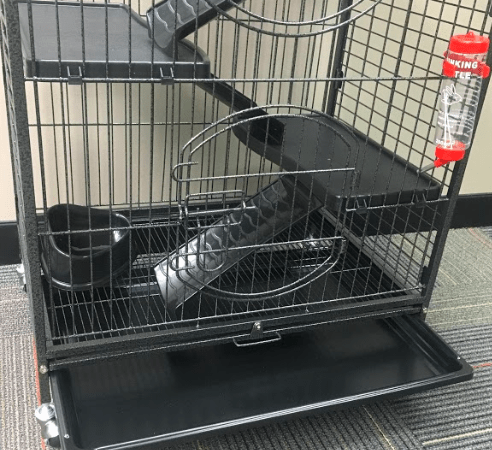 Cooper Cage Features a Feeding Bowl and Drinking Bowl