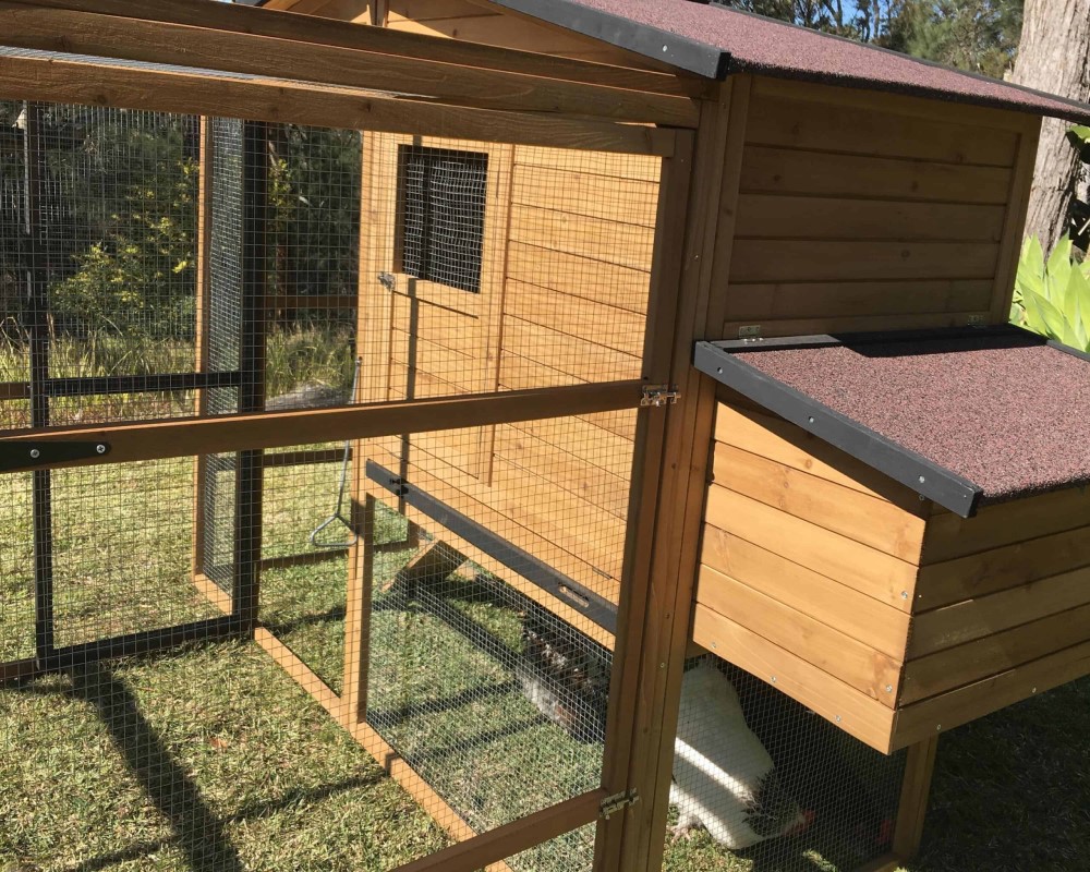 Perfect for housing many chickens