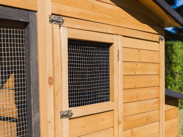 Modern Wooden Build with Metal Wire Mesh Windows and Walls for your Pets Safety