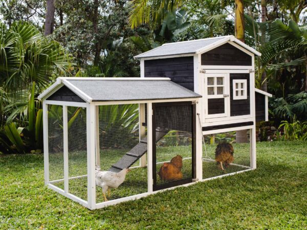 Mansion Chicken Coop by Somerzby