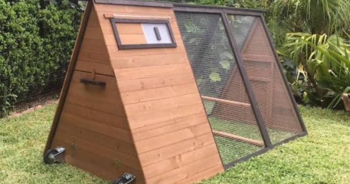 Holly chicken coop