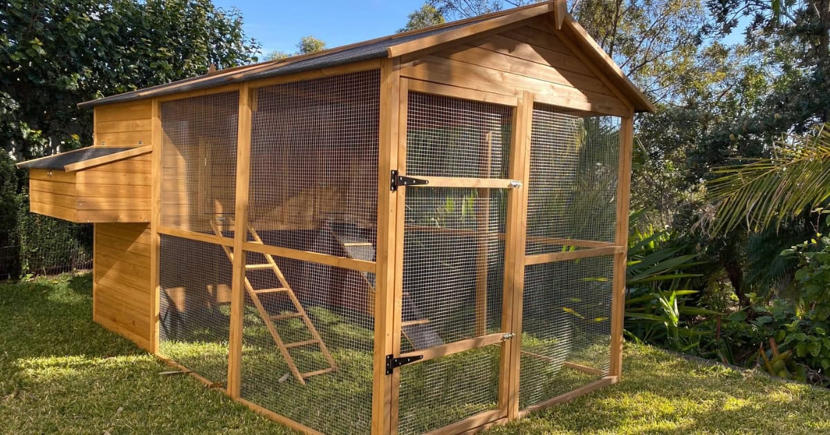 Homestead Chicken Coop