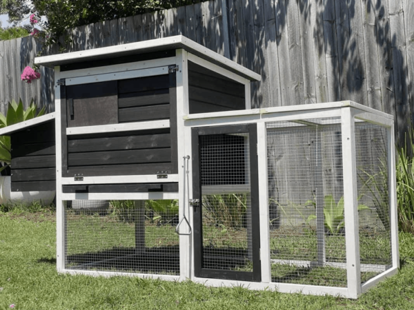 Tudor Chicken Coop