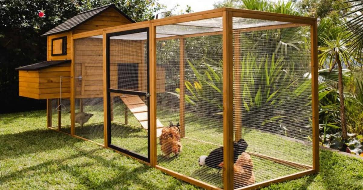 Cabana and Run package