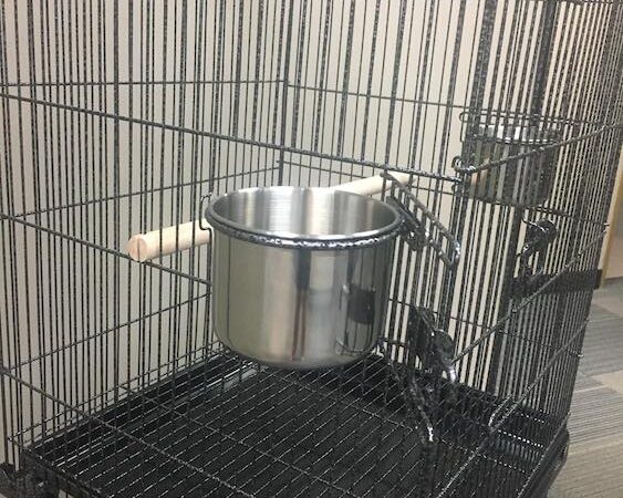 2 Stainless Steel Food Bowls - Amy Bird Cage