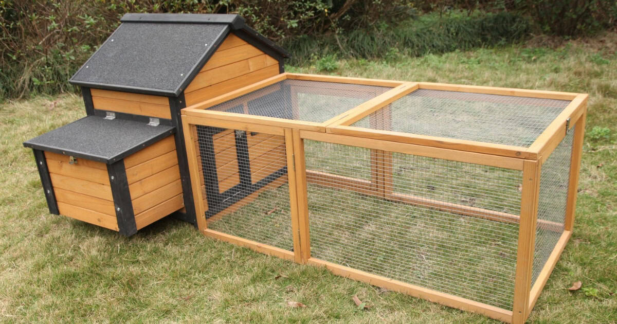 How much room do rabbits need