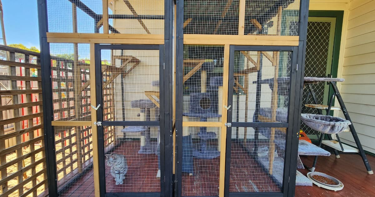 A wooden cat balcony enclosure set up on a patio.