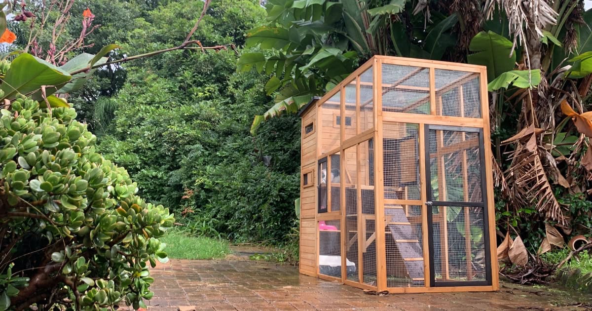 What goes inside the enclosure