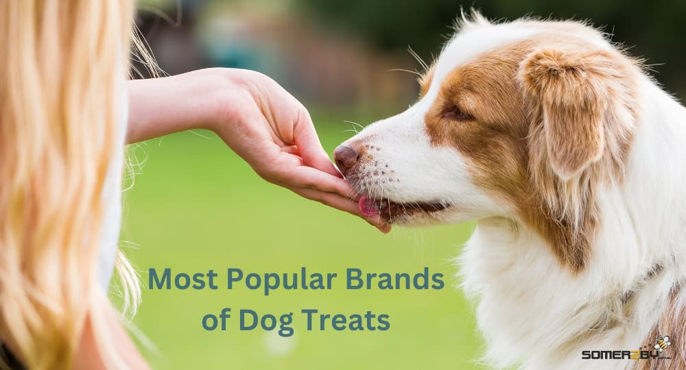 What Are the Most Popular Brands of Dog Treat