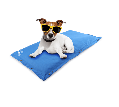 Chill Out Arctic Dog Cooling Mat