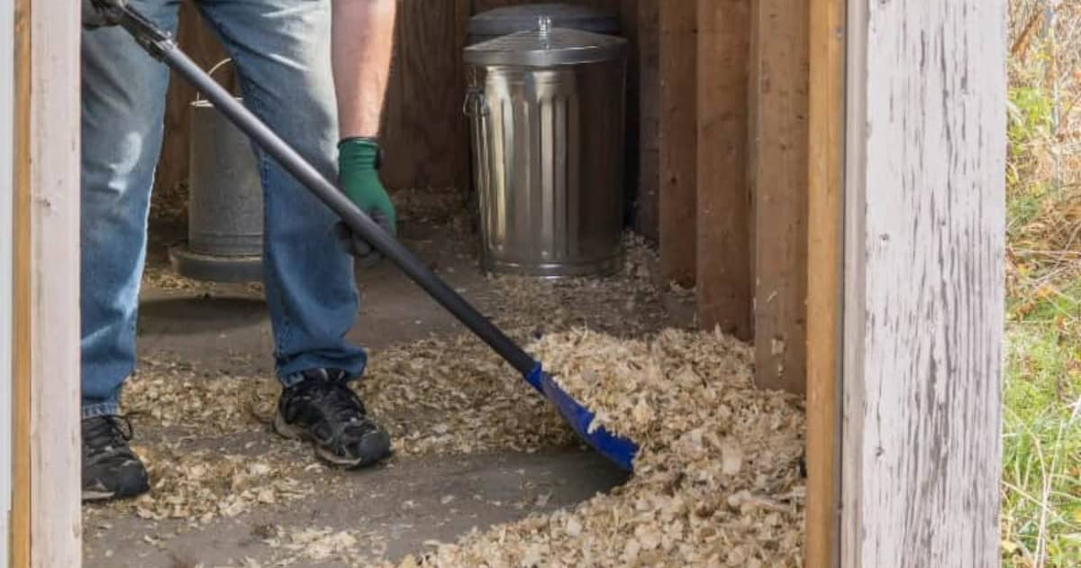 Remove Uneaten Scraps Daily