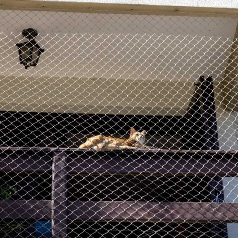 Understanding Cat Netting