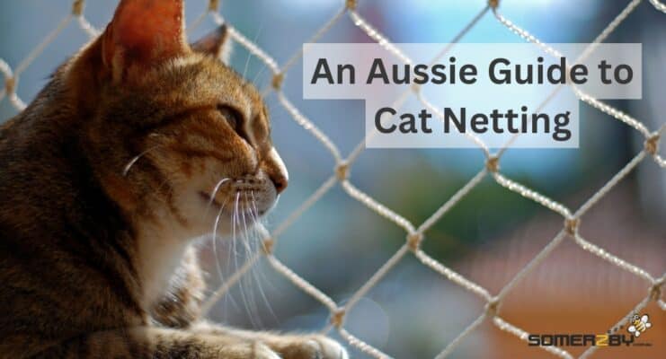 An Aussie Guide to Cat Netting