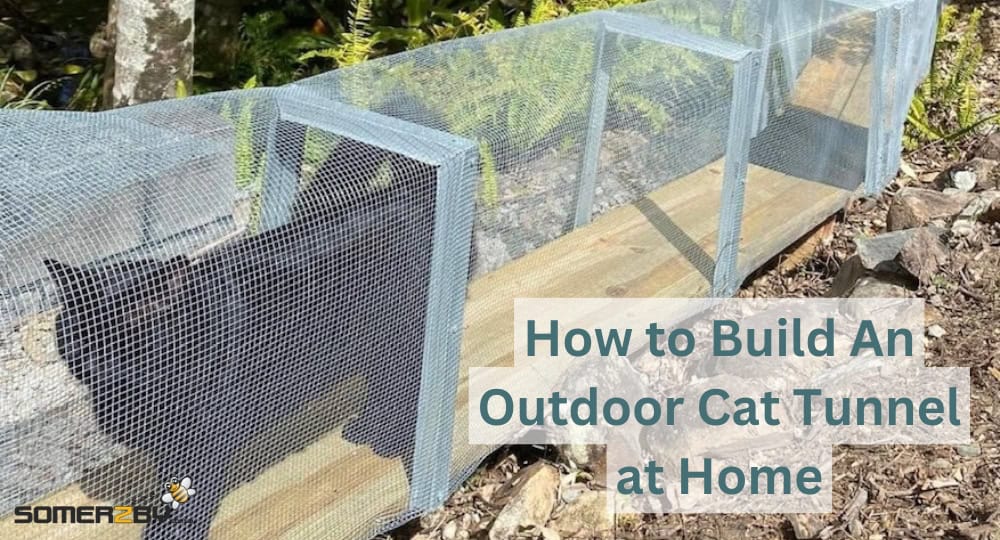 How to Build an Outdoor Cat Tunnel at Home