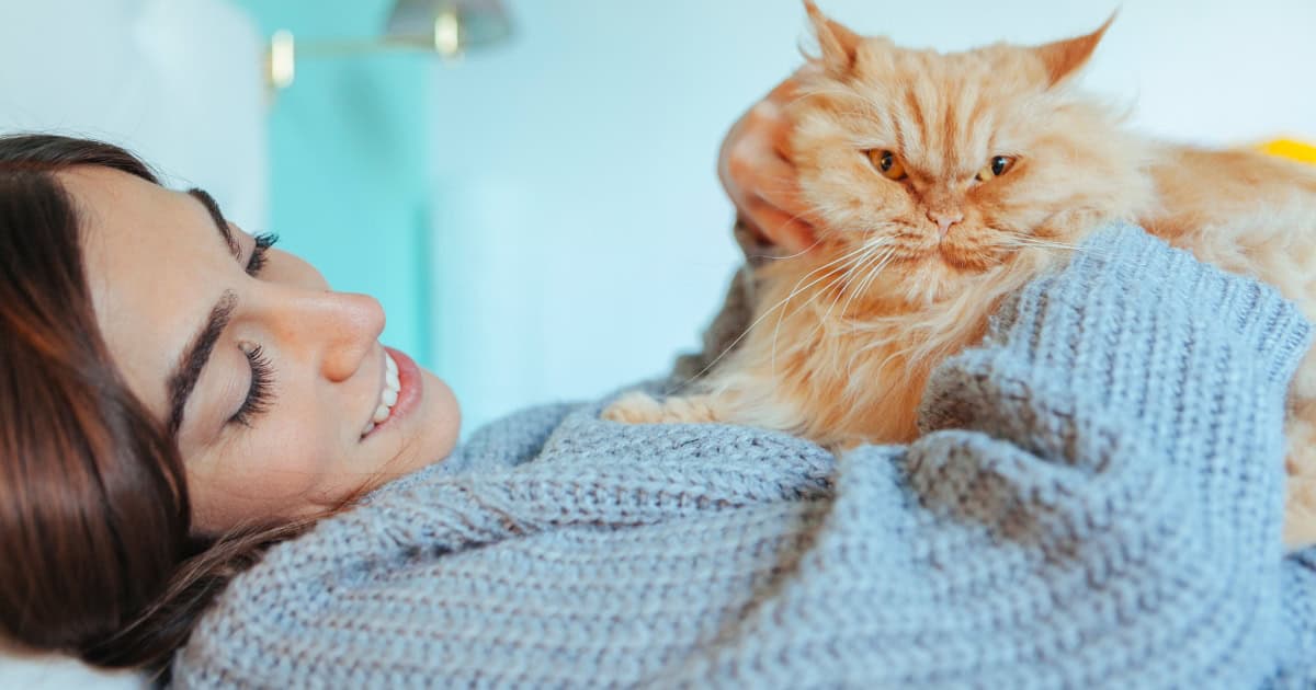 How to Test Your Cat for Fel d 1 Levels