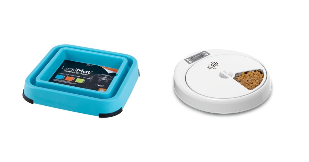 Innovative Solutions for How to Keep Ants Away From Cat Food