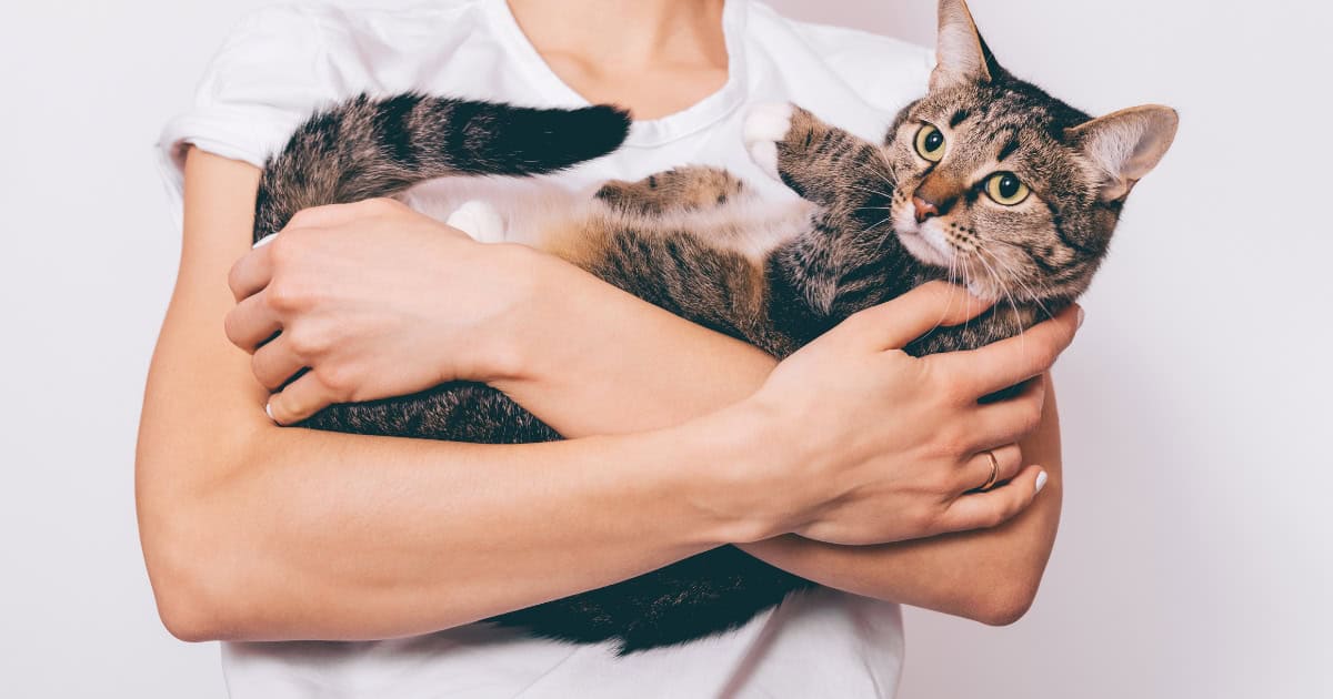 Potential Challenges and Solutions