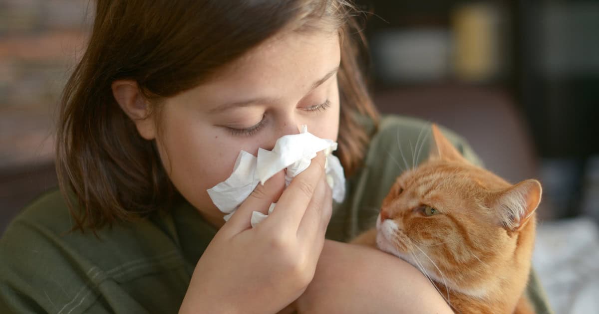 Cat allergies
