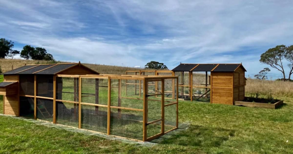 Choosing the Right Location for your Coop