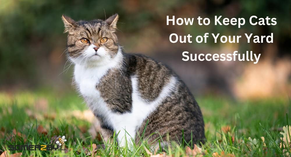 How to Keep Cats Out of Your Yard Successfully
