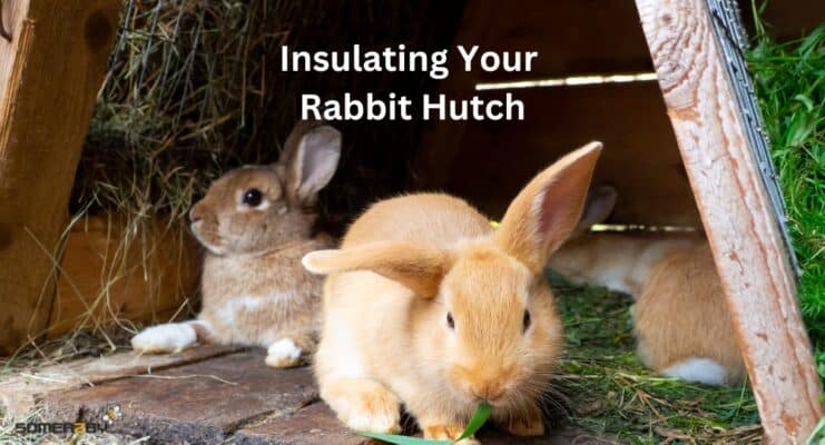 Insulating Your Rabbit Hutch