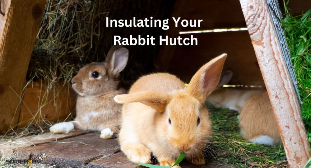 Insulating Your Rabbit Hutch