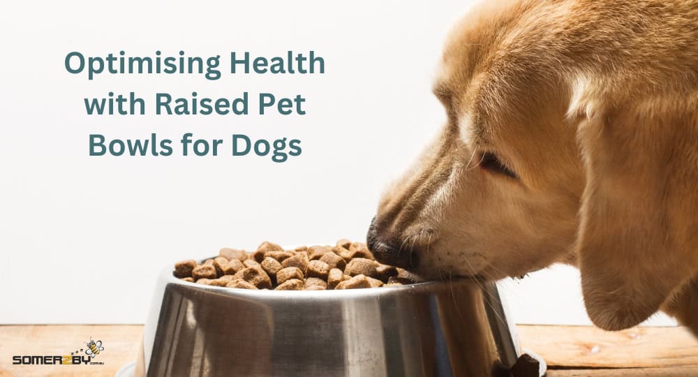 Optimising Health with Raised Pet Bowls for Dogs