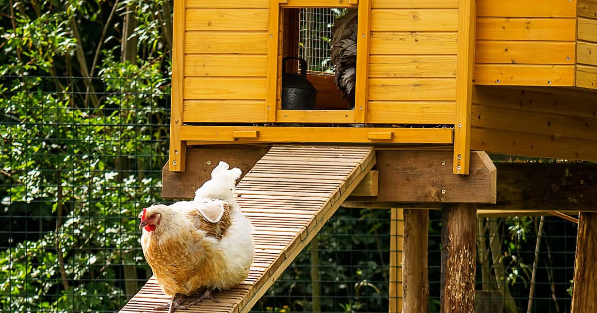 Reduced Outdoor Activity