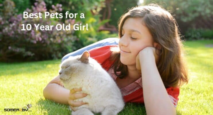 Best Pets for a 10 Year Old Girl