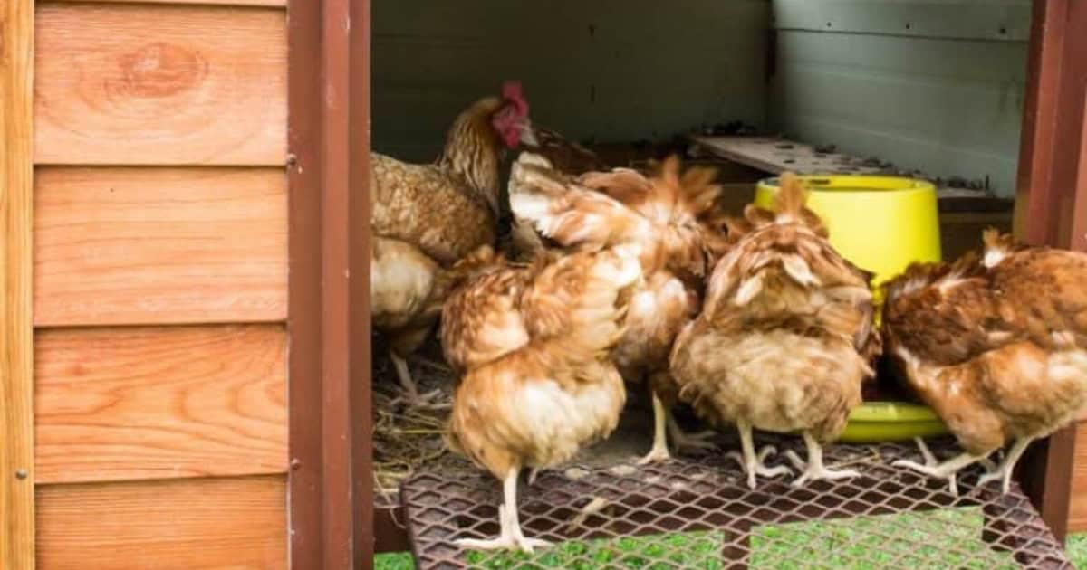 Climate Considerations