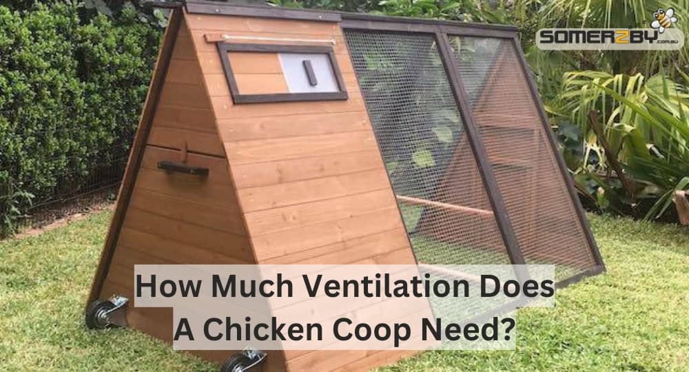 How Much Ventilation Does A Chicken Coop Need
