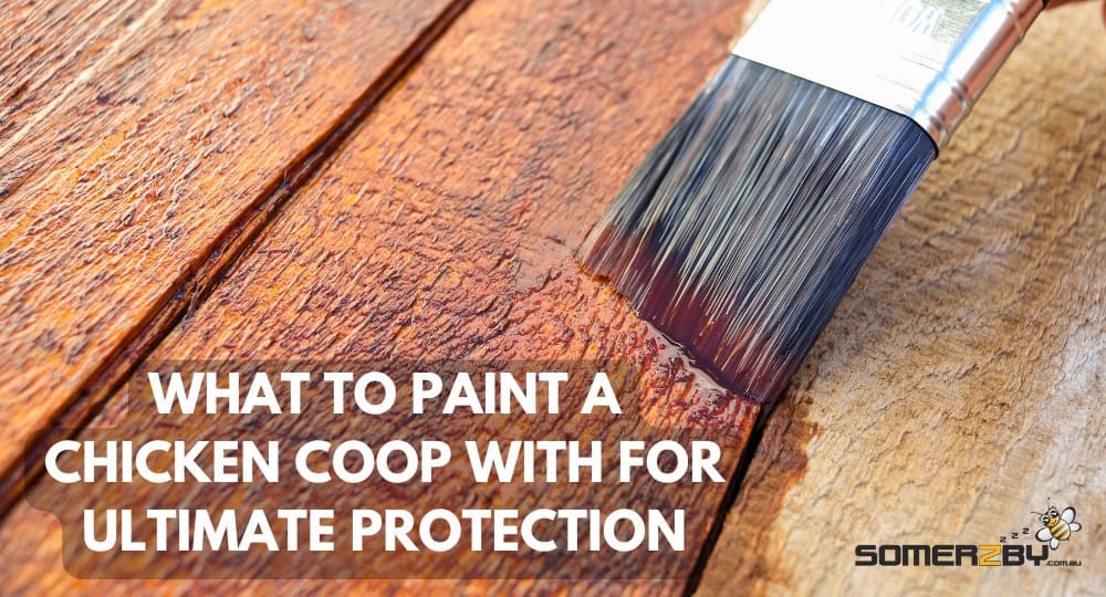 What to Paint a Chicken Coop With for Ultimate Protection