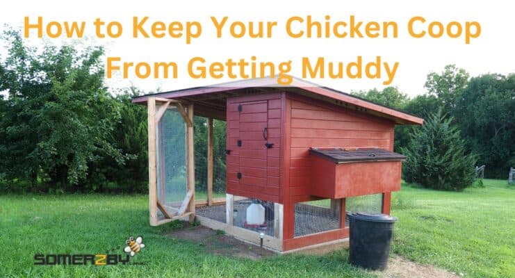 How to Keep Your Chicken Coop From Getting Muddy