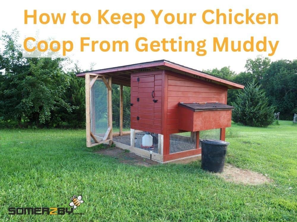 How to Keep chicken coop from getting muddy